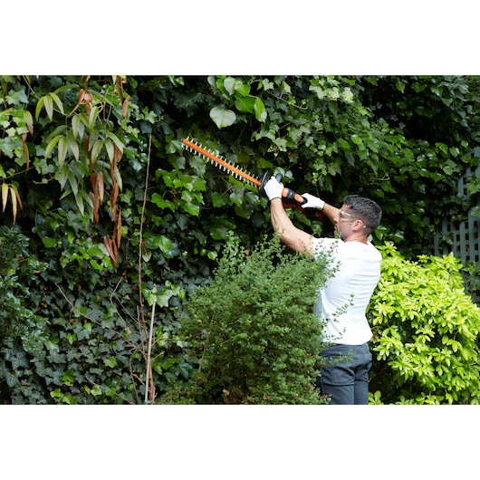 BLACK+DECKER GTC36552PC hedge trimmer in use cutting tall green hedges outdoors.